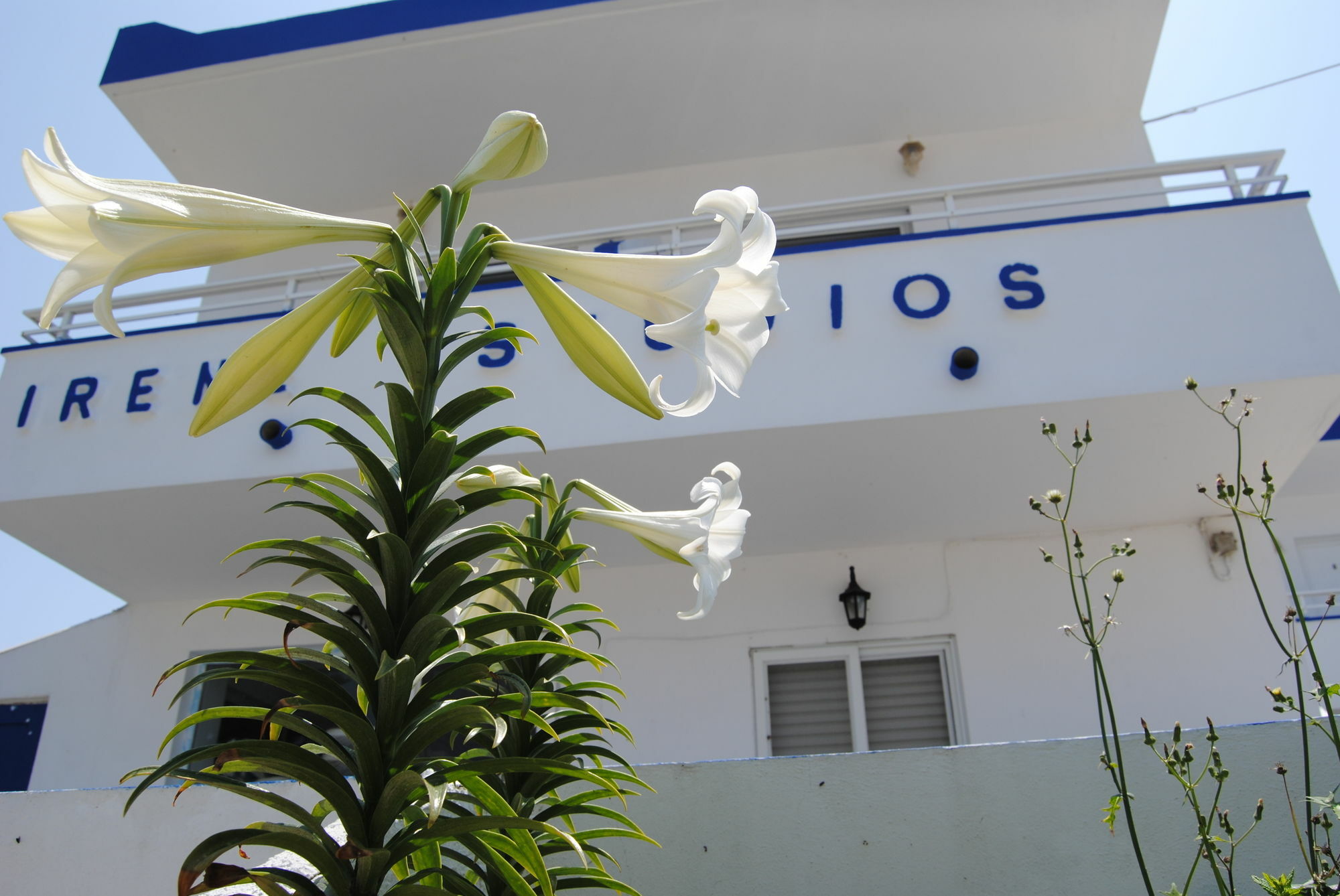 Irene Studios Kefalos  Ngoại thất bức ảnh